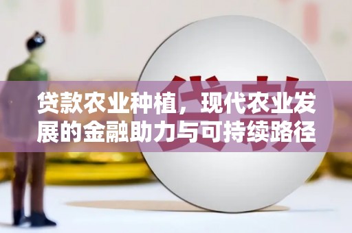 维西贷款农业种植，现代农业发展的金融助力与可持续路径