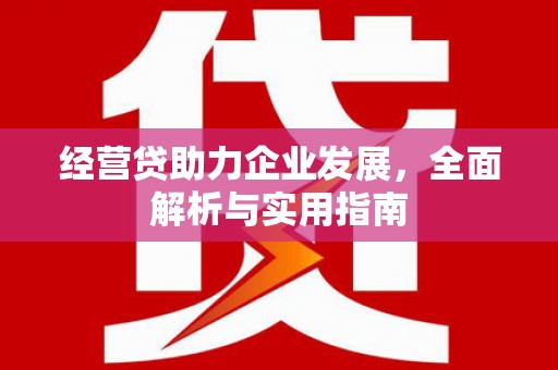 维西经营贷助力企业发展，全面解析与实用指南