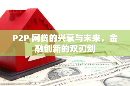 维西P2P 网贷的兴衰与未来，金融创新的双刃剑