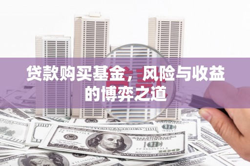 维西贷款购买基金，风险与收益的博弈之道