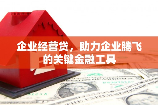 维西企业经营贷，助力企业腾飞的关键金融工具