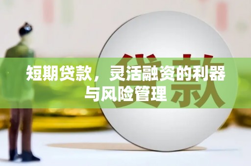 维西短期贷款，灵活融资的利器与风险管理