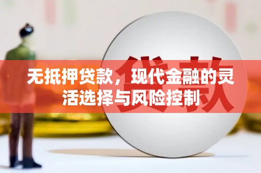 维西无抵押贷款，现代金融的灵活选择与风险控制