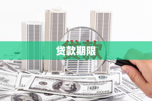 维西贷款期限