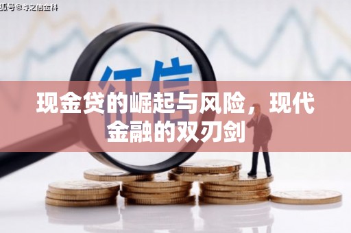 维西现金贷的崛起与风险，现代金融的双刃剑