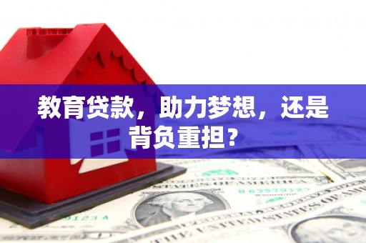 维西教育贷款，助力梦想，还是背负重担？