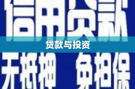 维西贷款与投资
