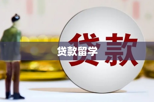 维西贷款留学