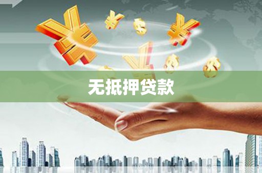 维西无抵押贷款