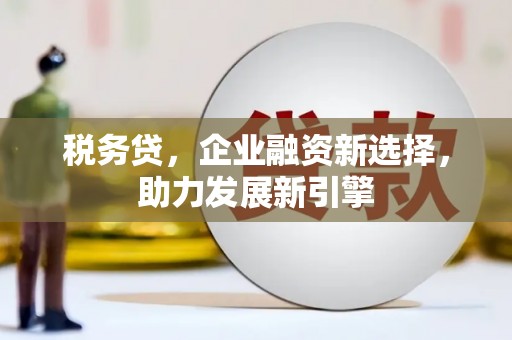 维西税务贷，企业融资新选择，助力发展新引擎