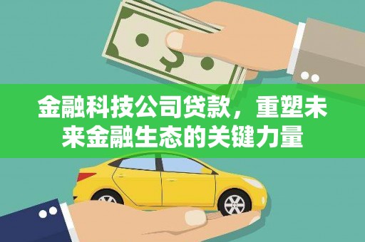 维西金融科技公司贷款，重塑未来金融生态的关键力量