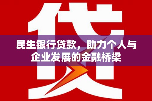 维西民生银行贷款，助力个人与企业发展的金融桥梁