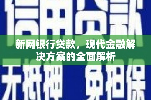 维西新网银行贷款，现代金融解决方案的全面解析