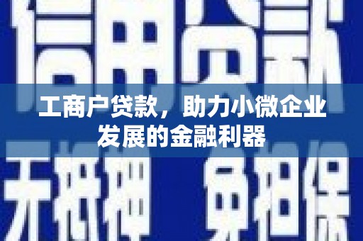 维西工商户贷款，助力小微企业发展的金融利器