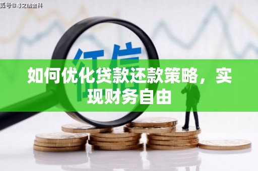维西如何优化贷款还款策略，实现财务自由