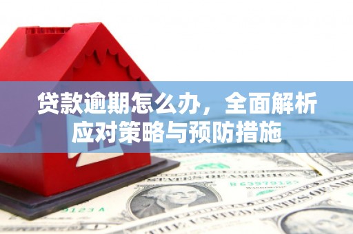 维西贷款逾期怎么办，全面解析应对策略与预防措施