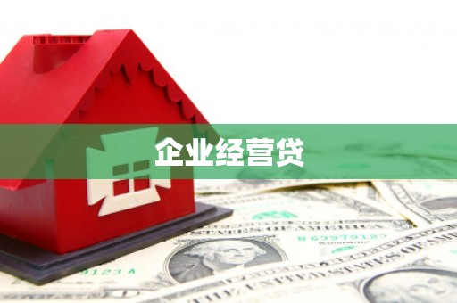 维西企业经营贷