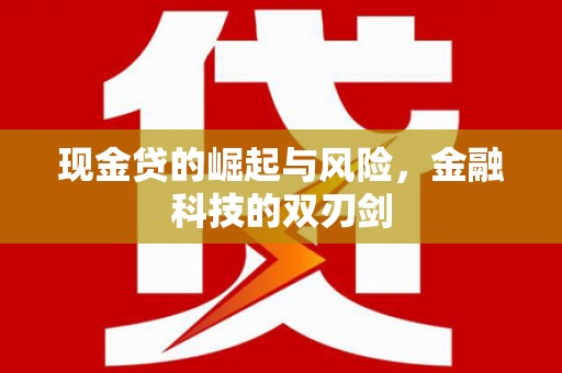 维西现金贷的崛起与风险，金融科技的双刃剑