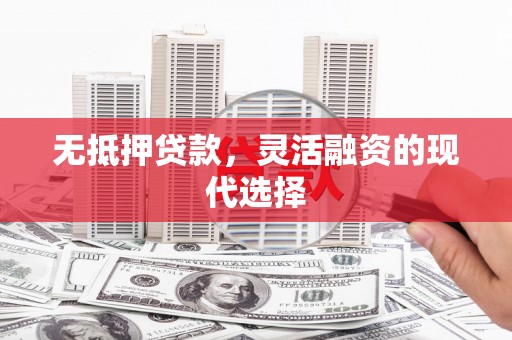 维西无抵押贷款，灵活融资的现代选择