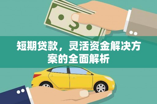 维西短期贷款，灵活资金解决方案的全面解析