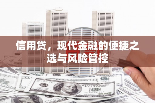 维西信用贷，现代金融的便捷之选与风险管控