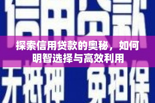 维西探索信用贷款的奥秘，如何明智选择与高效利用