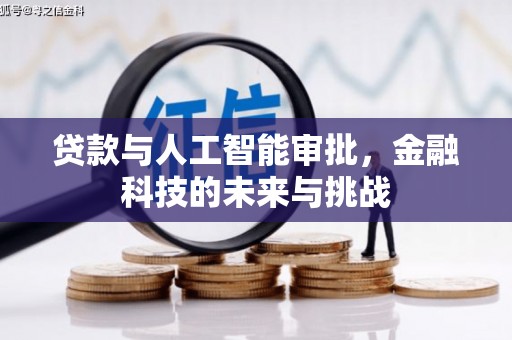 维西贷款与人工智能审批，金融科技的未来与挑战