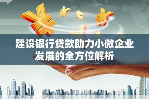 维西建设银行贷款助力小微企业发展的全方位解析
