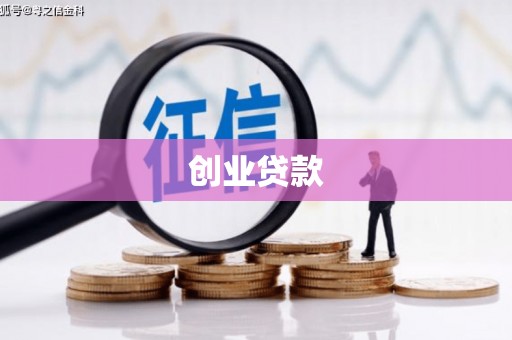 维西创业贷款