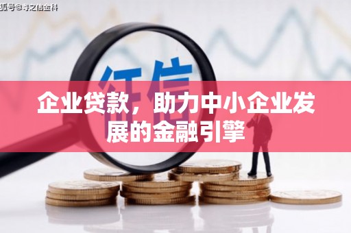 维西企业贷款，助力中小企业发展的金融引擎