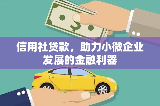 维西信用社贷款，助力小微企业发展的金融利器
