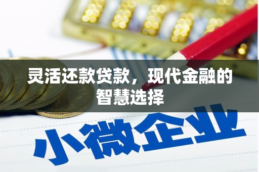 维西灵活还款贷款，现代金融的智慧选择