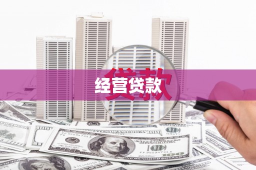 维西经营贷款