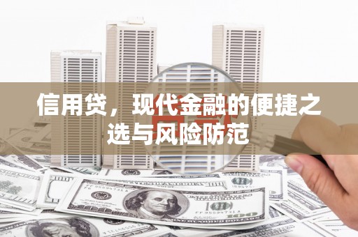 维西信用贷，现代金融的便捷之选与风险防范