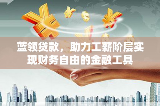 维西蓝领贷款，助力工薪阶层实现财务自由的金融工具