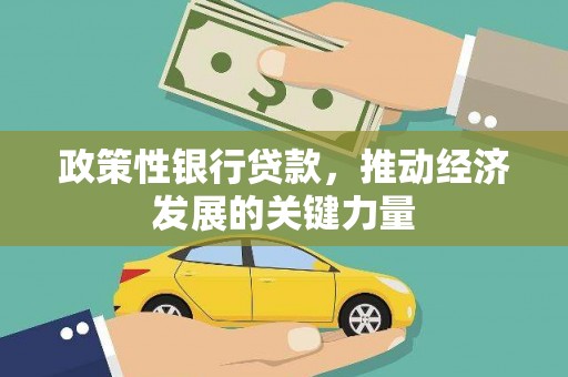 维西政策性银行贷款，推动经济发展的关键力量