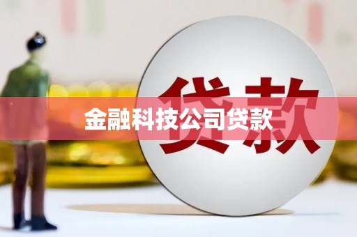 维西金融科技公司贷款