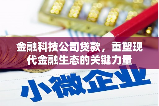 维西金融科技公司贷款，重塑现代金融生态的关键力量