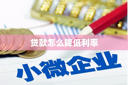 维西贷款怎么降低利率