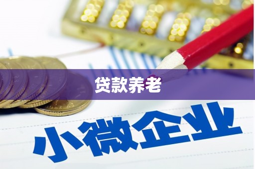 维西贷款养老