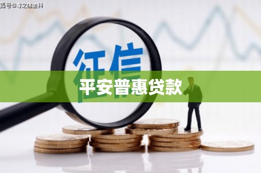 维西平安普惠贷款