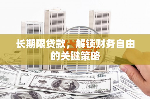 维西长期限贷款，解锁财务自由的关键策略