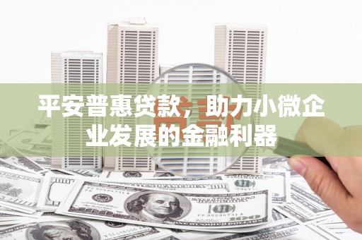 维西平安普惠贷款，助力小微企业发展的金融利器