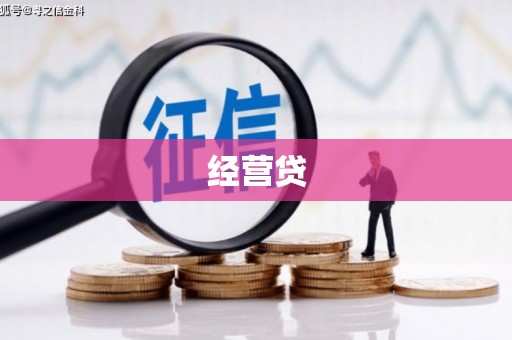 维西经营贷