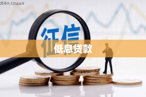 维西低息贷款