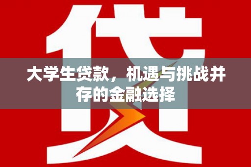 维西大学生贷款，机遇与挑战并存的金融选择