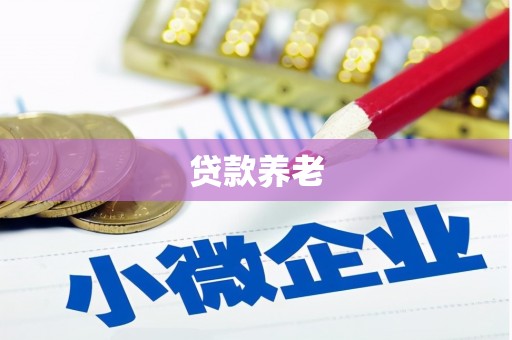 维西贷款养老