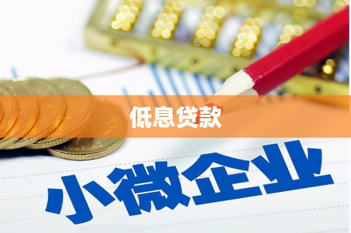 维西低息贷款