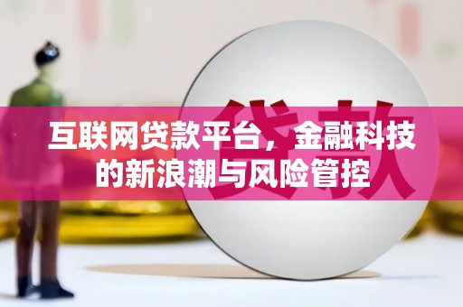 维西互联网贷款平台，金融科技的新浪潮与风险管控