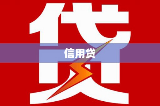 维西信用贷